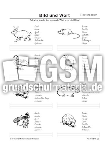 BuW Haustiere29.pdf